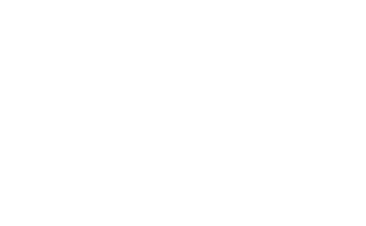 Don Alcides
